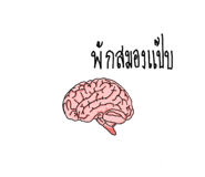 525432065