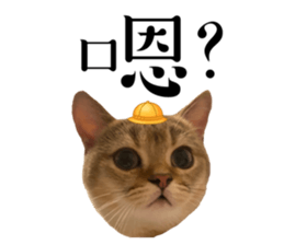 525434928