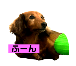 525437163