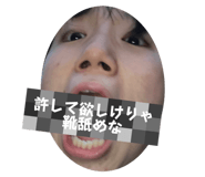 525442029