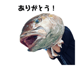 525442919