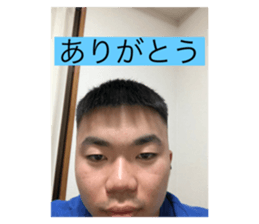 525443248
