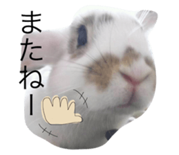525444177