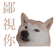 525449486