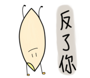 525451817