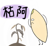 525451825