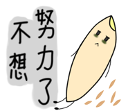 525451841