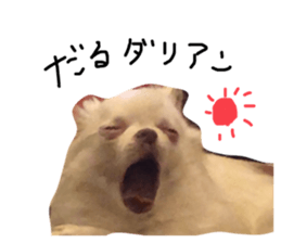 525456168