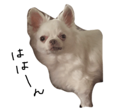 525456169