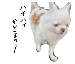 525456172