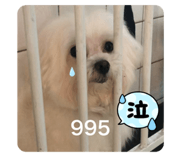 525478856