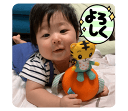 525481222