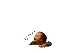 525505753
