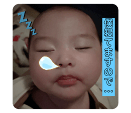 525505838