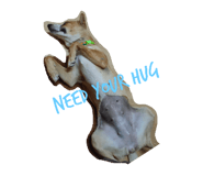 525512982