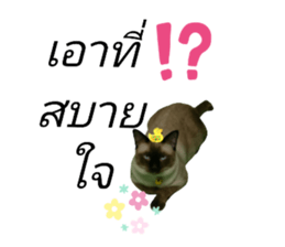 525517450