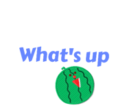 525534576