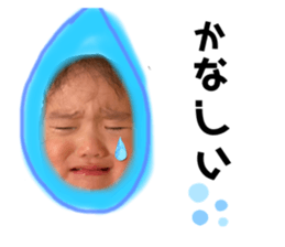 525542978