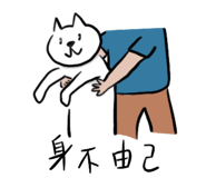 525558748