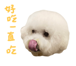 525561838