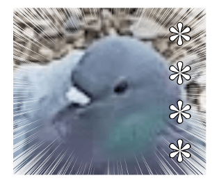 525563687