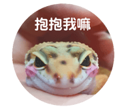 525585264