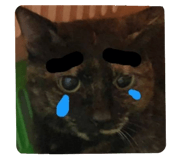 525606079