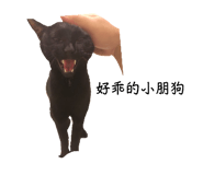 525606082