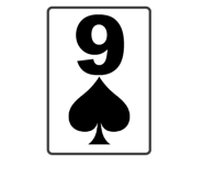525610027