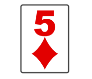 525610204