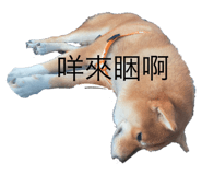 525614428