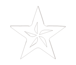 525644283