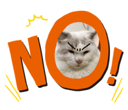 525647516