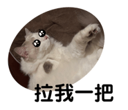 525647517