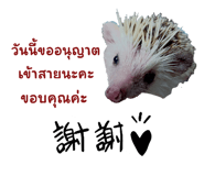 525658392