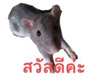 525658399