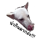 525658400