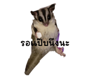 525658401