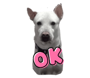 525658404