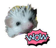 525658410
