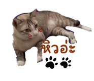 525658417