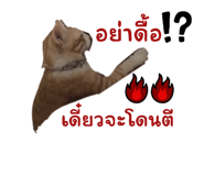 525658420