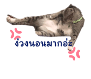 525658425