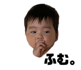 525663901