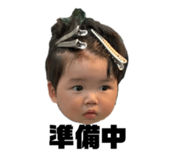 525663904