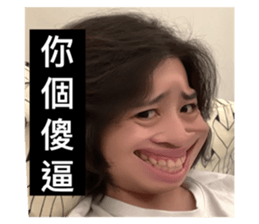 525681355