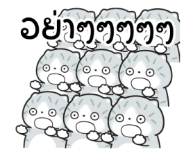 525684922