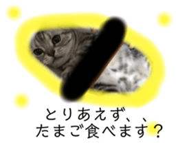 525702272