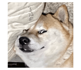 525747863