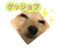525775503